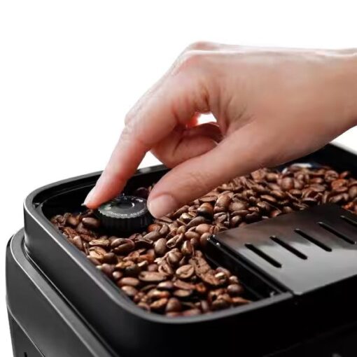 Máy pha cà phê DeLonghi Magnifica Evo ECAM290.81.TB